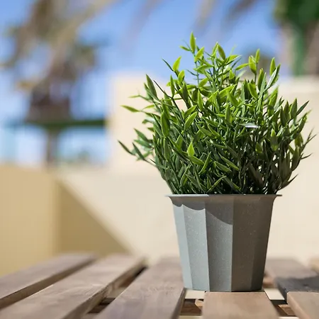 Διαμέρισμα Rio Barca